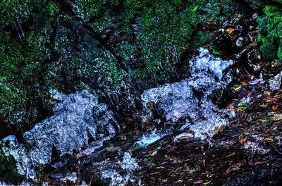 Scenic view of waterfall in forest during winter