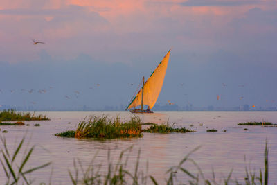 Boat sailing on brolous lake at sunset