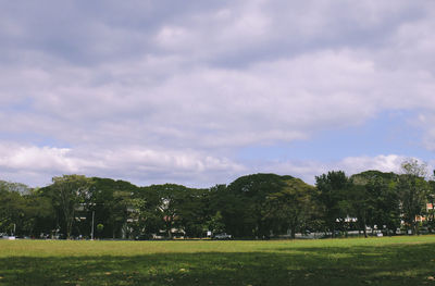 Trees on field against cloudy sky