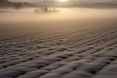 Scenic view of snow covered land