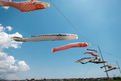 Low angle view of fish hanging against blue sky