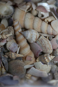 Full frame shot of chopped mushrooms