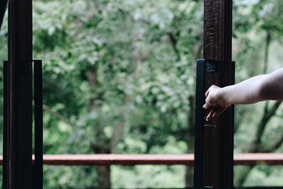 Cropped hand of woman against window