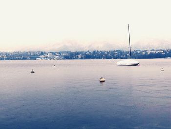 Sailboats sailing in sea against sky