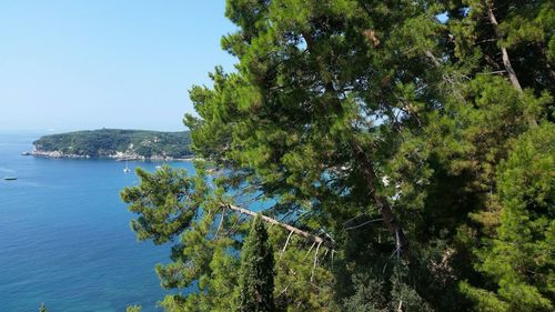 Scenic view of calm sea