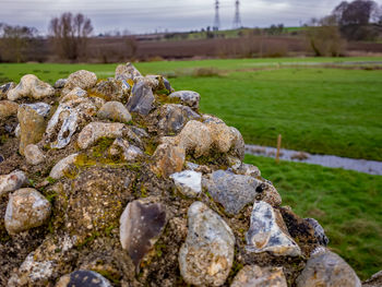 Rocks on field