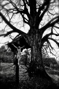Bare tree in forest against sky