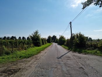 Dirt road amidst trees against sky