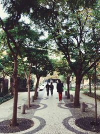 Rear view of couple walking in park