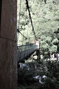 Abandoned bridge over river in forest