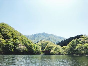 Scenic view of lake in forest against clear sky