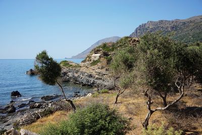 Scenic view of sea against clear sky