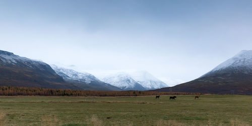 Scenic view of landscape