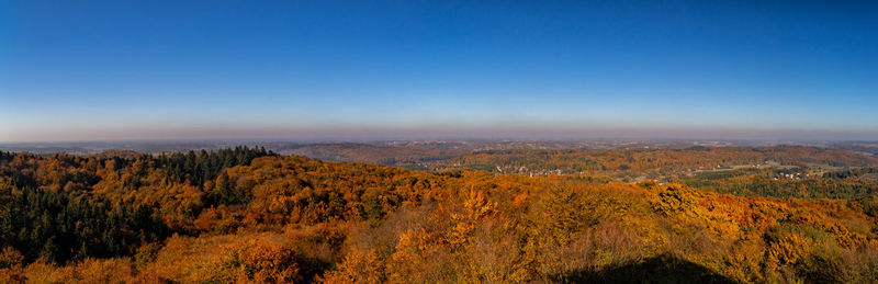 Scenic view of landscape against clear blue sky