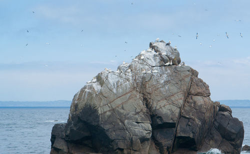 View of rock formation in sea against sky