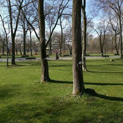 Empty bench in park