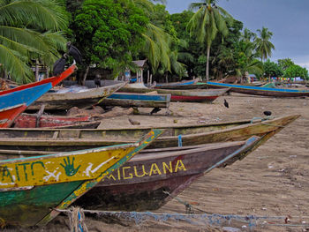 View of boats moored on beach