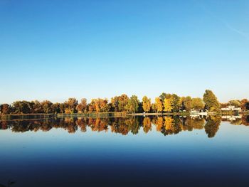 Reflection of trees in lake against clear blue sky