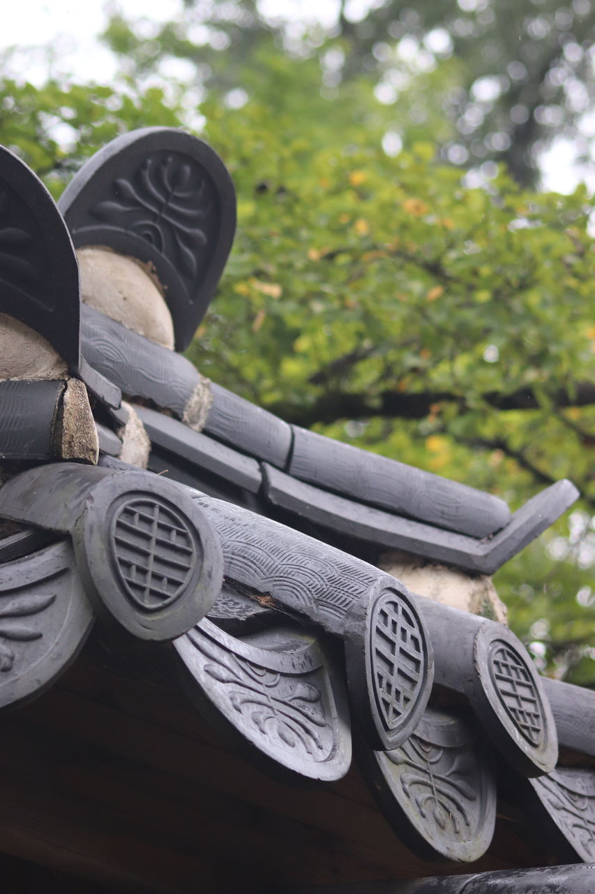 day, plant, no people, low angle view, nature, tree, sculpture, focus on foreground, outdoors, close-up, statue, totem pole