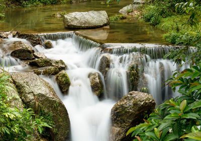 Scenic view of waterfall in forest