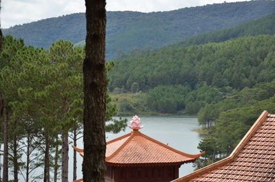 Scenic view of lake in forest