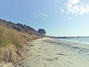 Scenic view of beach against sky