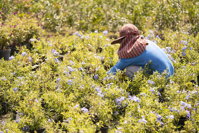 Woman working amidst flowering plants on land