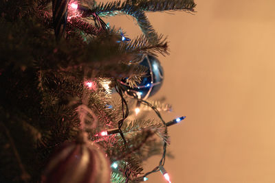 Close-up of illuminated christmas tree