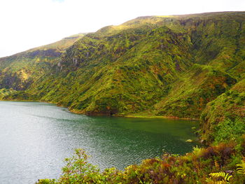 Scenic view of lake by trees against sky