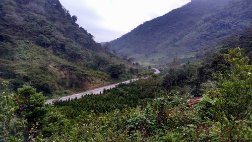 Scenic view of mountains