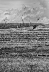 Scenic view of field against cloudy sky