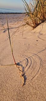 sand