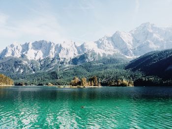 Duck swimming in lake against snowcapped mountains