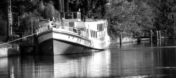 Reflection of trees in water