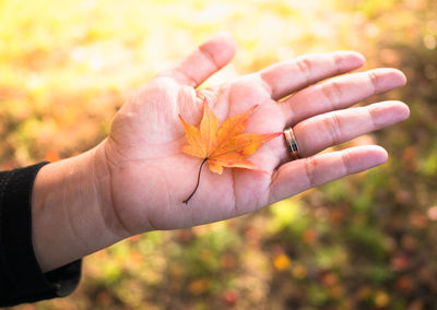 Close-up of woman holding autumn leaf