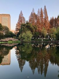 Scenic view of lake by trees against clear sky