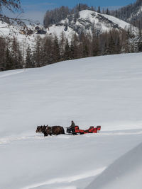 Scenic view of snow covered field