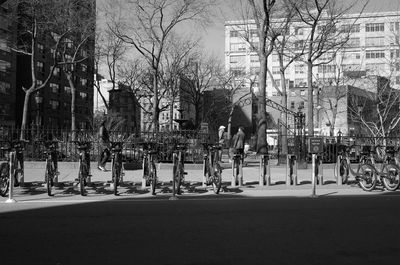 Bare trees by street in city