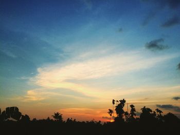 Low angle view of silhouette trees against sky