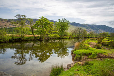 Scenic view of lake by trees against sky