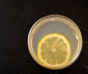 Close-up of drink in glass on table