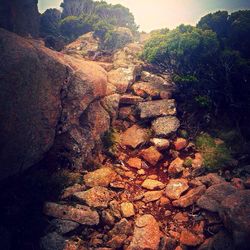 Scenic view of rock formations