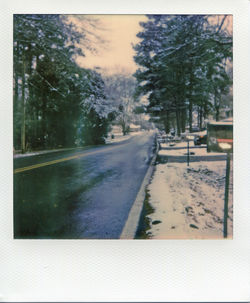 Road along trees in winter