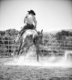 Man riding horse on field against sky