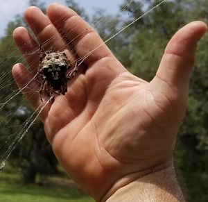 human hand