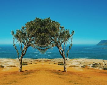 Scenic view of sea against clear blue sky