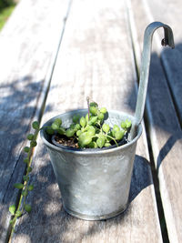 High angle view of vegetables in container on table