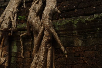 Close-up of old stone wall