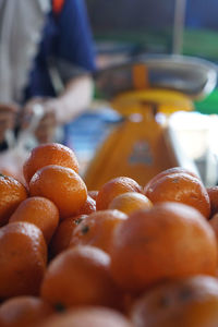 Close-up of man for sale