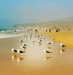 People on beach against sky